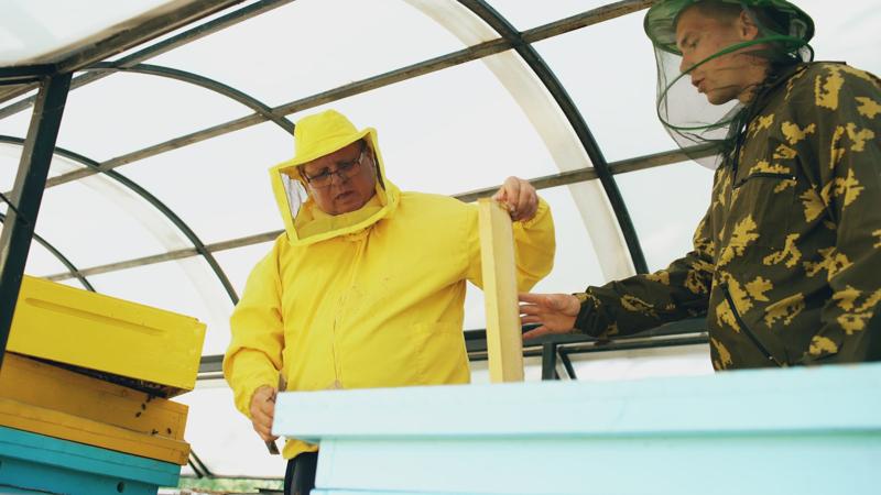 Extragere miere — de la recoltă la profitul pe stup
